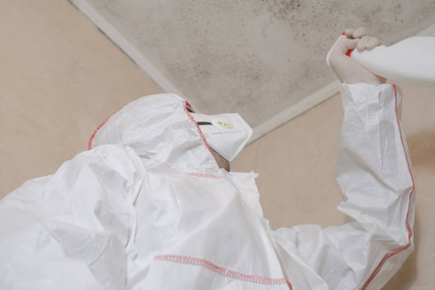 Best Office Mold Removal Services  in North Merritt Island, FL